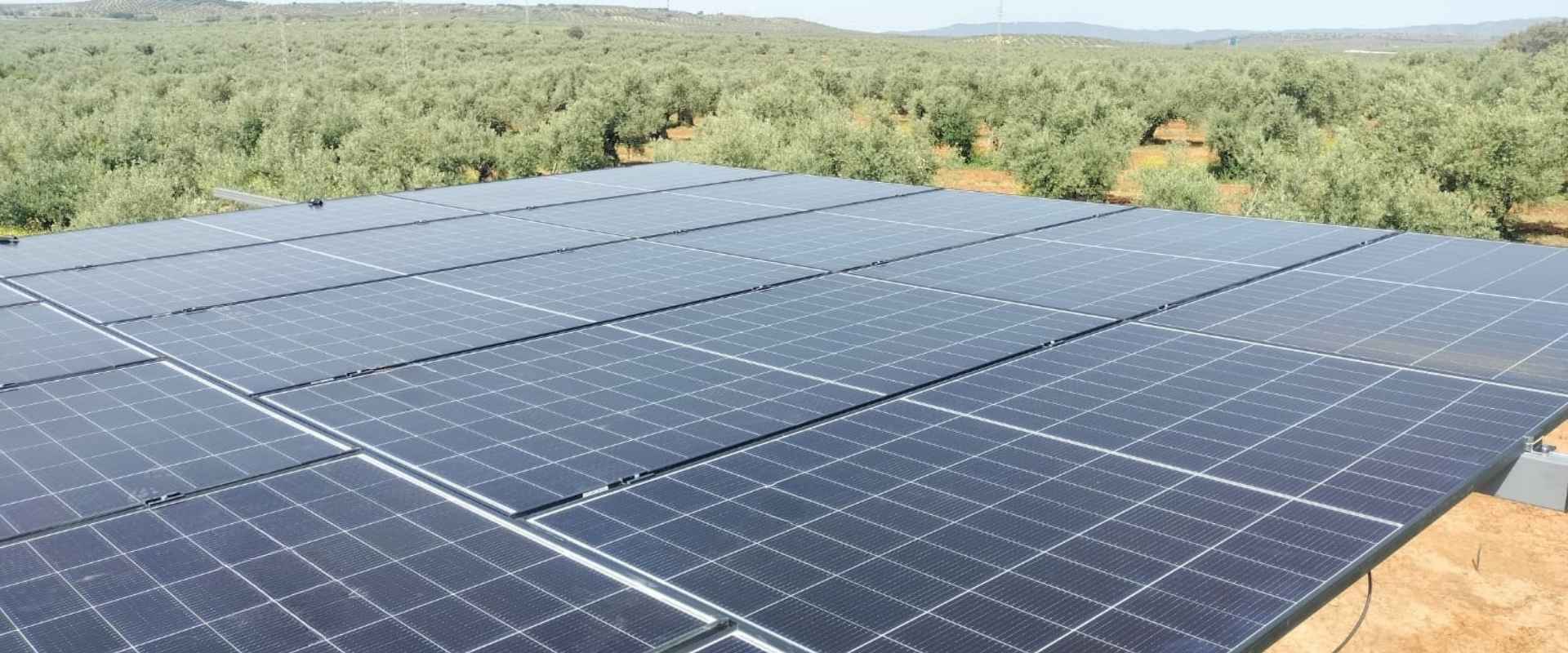 Instalación de placas solares en proyecto agrícola con olivar en Jaén
